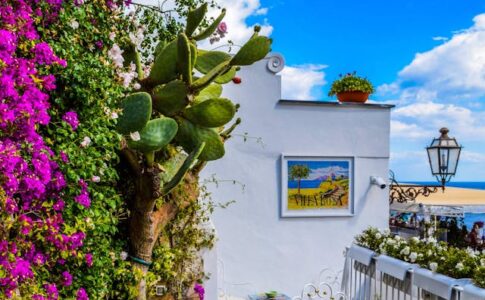 Idées pour l'aménagement extérieur de la maison transformez votre jardin en un havre de paix